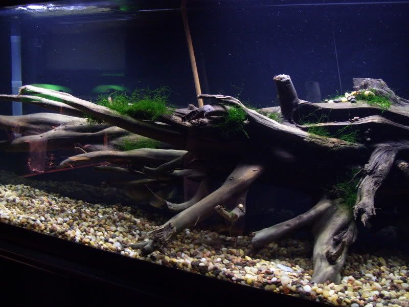100_5963.jpg