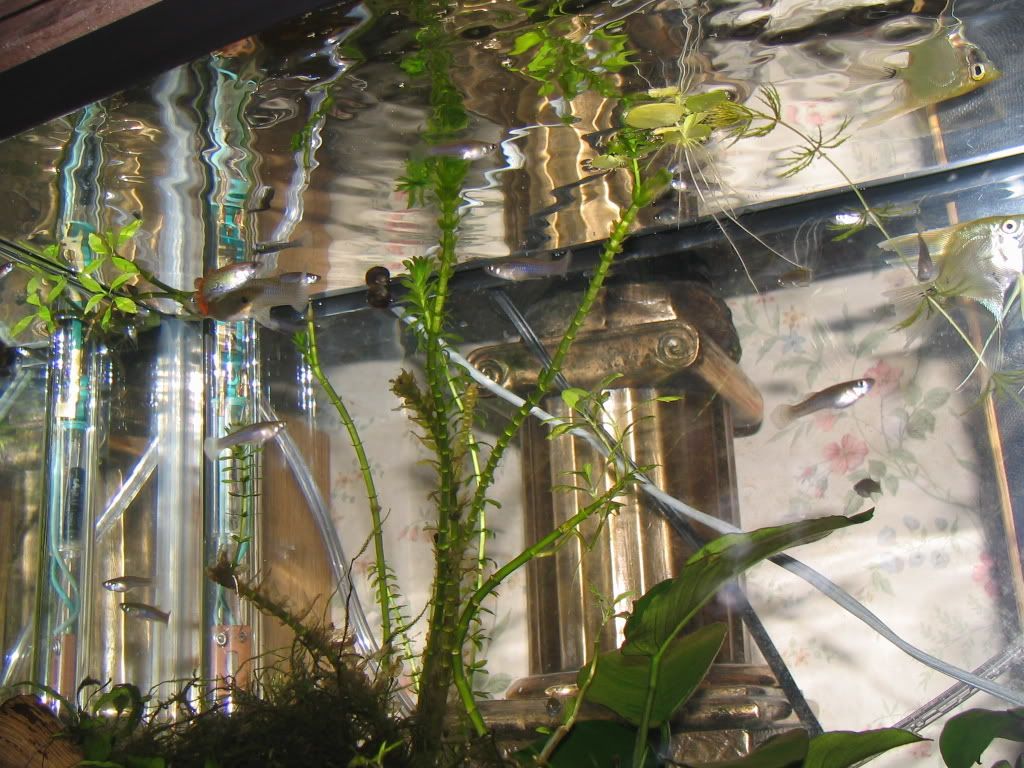 Picture1410065691.jpg