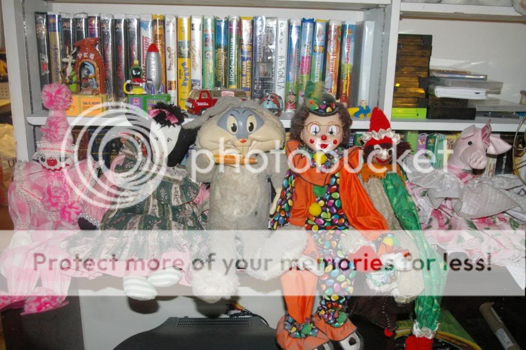 IMGP6739.jpg