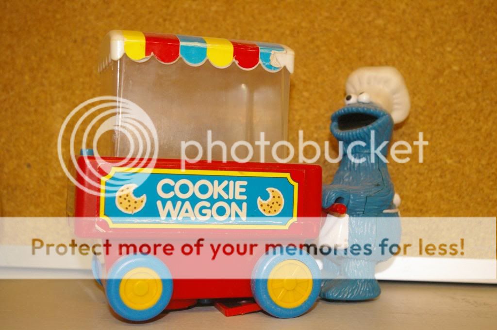 IMGP6591.jpg