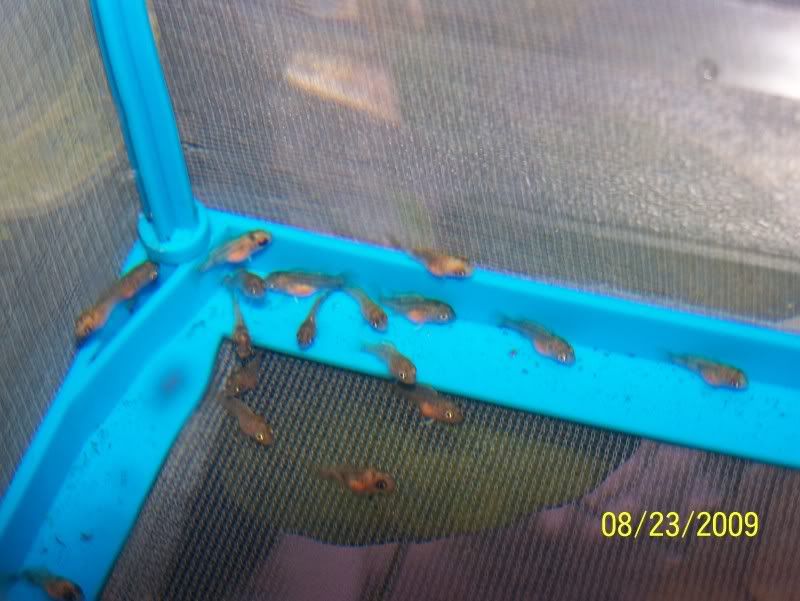 100_1825.jpg