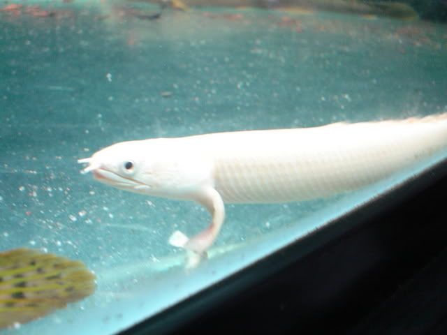 DSC06896.jpg