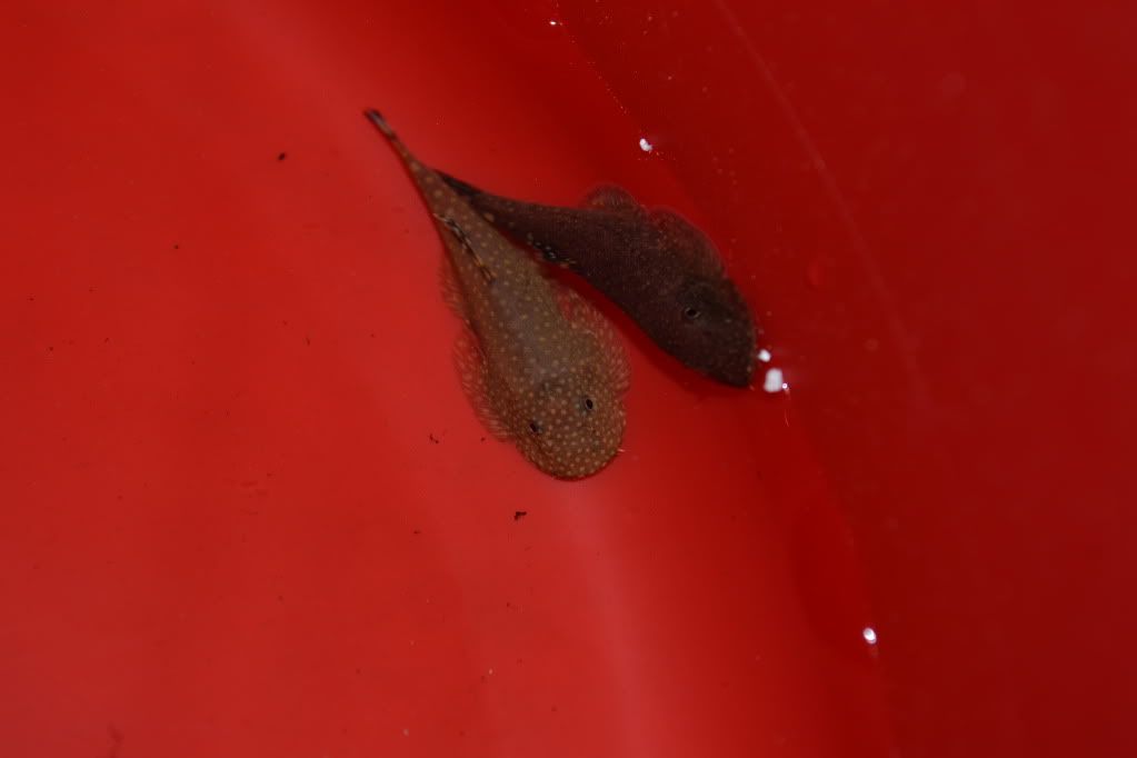 DSC_0445.jpg