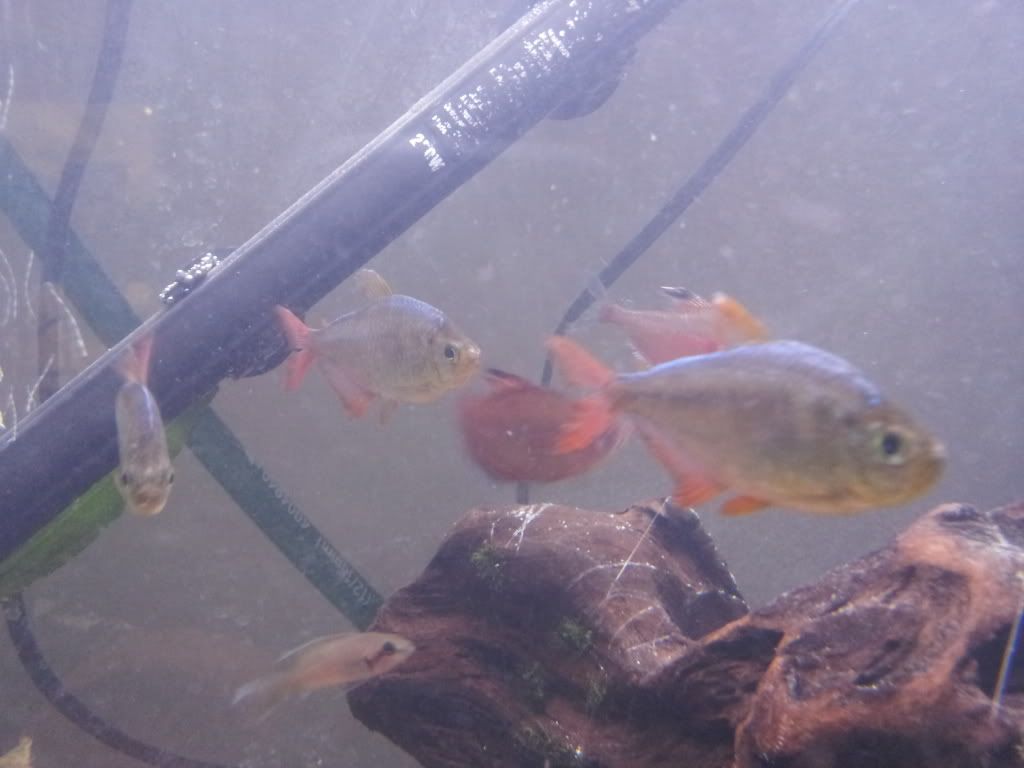 20121118_191107.jpg