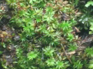 Picture007_320x240.jpg