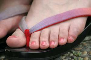 six-toes.jpg