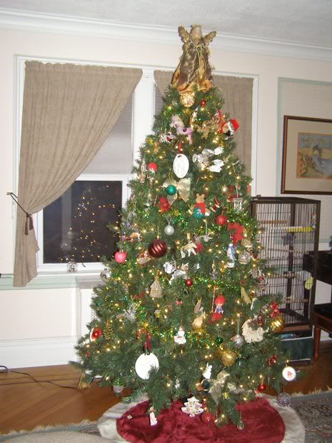 tree1.jpg