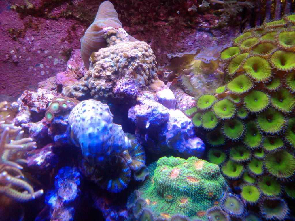 IMG_20110823_144130.jpg