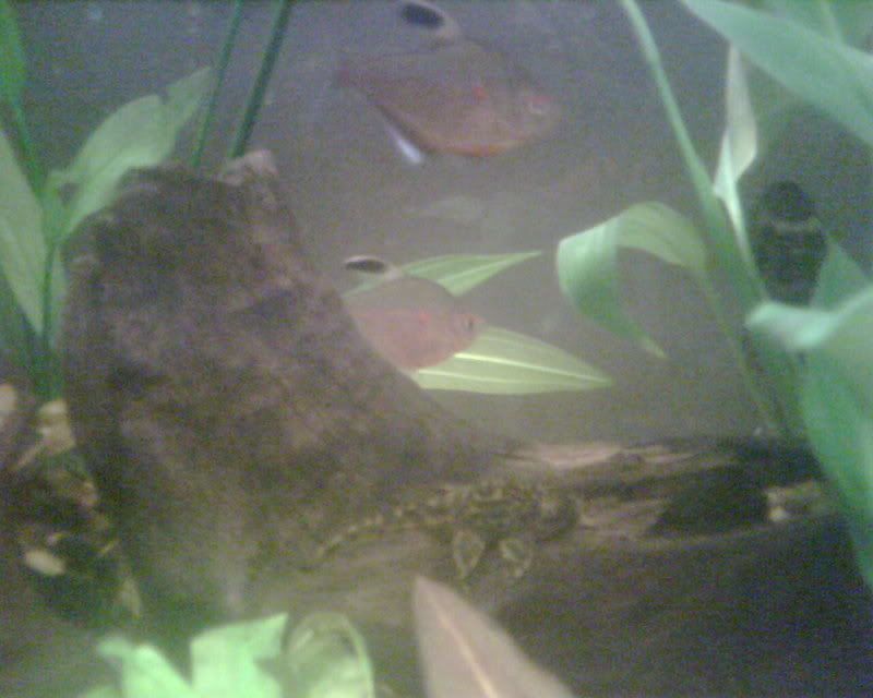 IMG00255.jpg