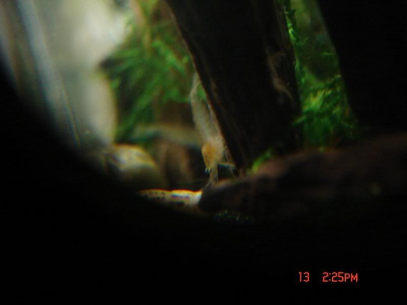 DSC01603.jpg