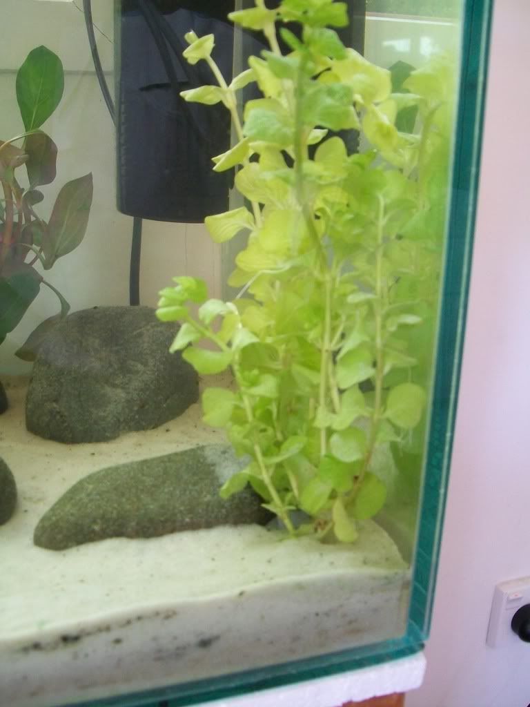 100_1069.jpg