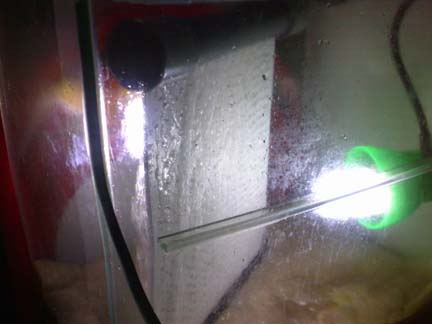 UserStevenkoh08onSRC-3.jpg
