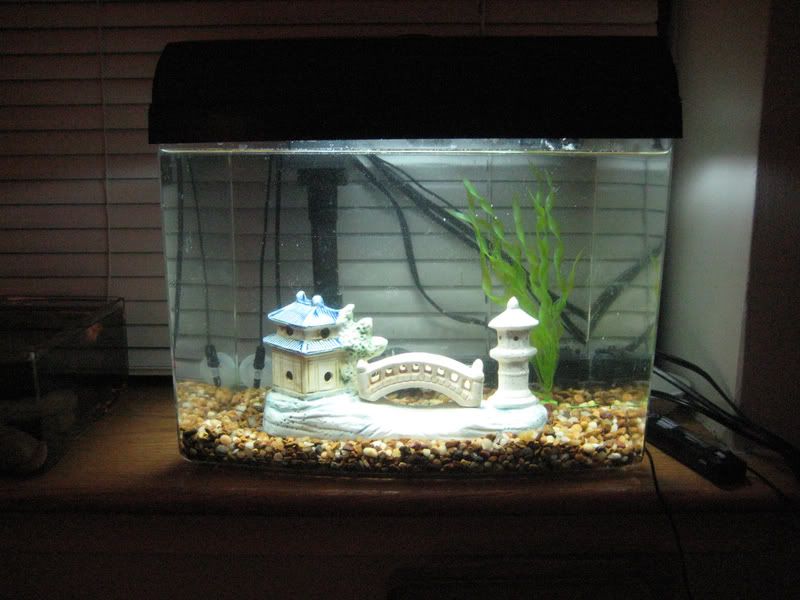 newhome.jpg