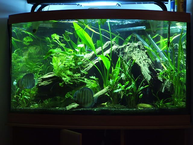 DSCF1178.jpg