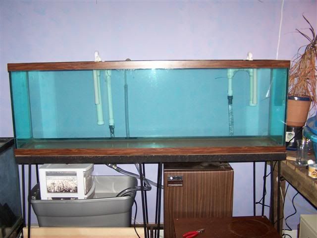 100_0592Small.jpg
