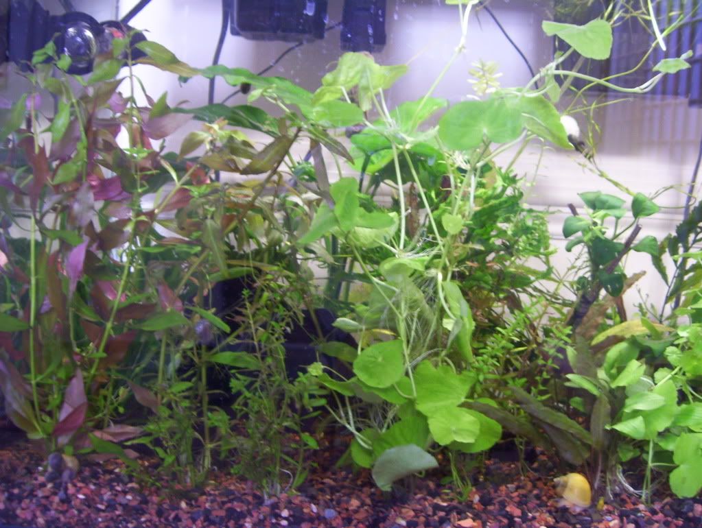 100_4591.jpg