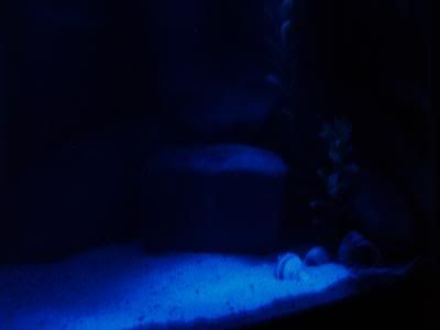 Picture015.jpg