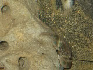 Picture002_320x240.jpg