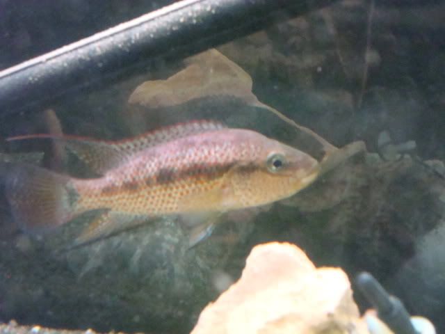 October152008017.jpg