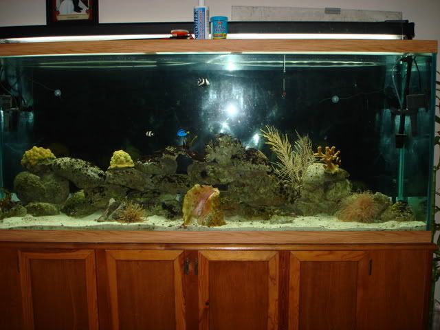 DSC00649.jpg