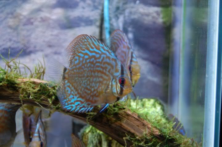 DSC_0407.jpg