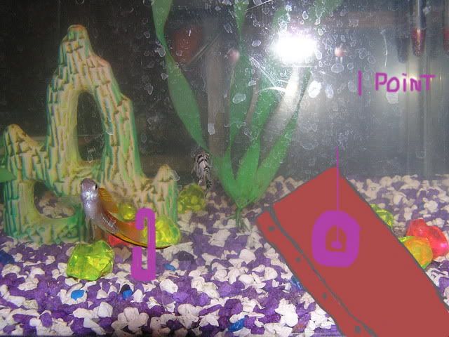 71205Fish014FishyRingToss.jpg