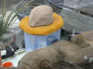 IMG_1355_320x240.jpg
