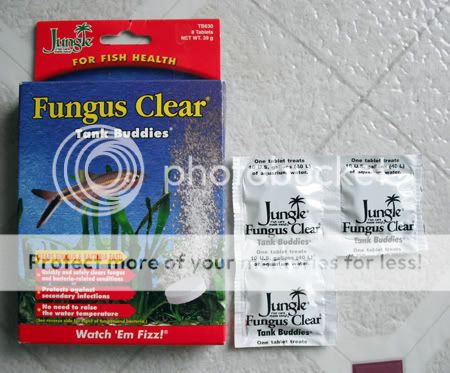 Fungus20Clear.jpg