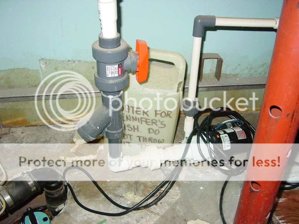 DSC08965.jpg
