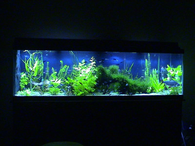 DSC05278.jpg