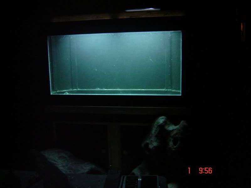 DSC02896.jpg
