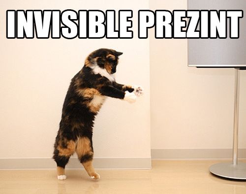 catpresent.jpg