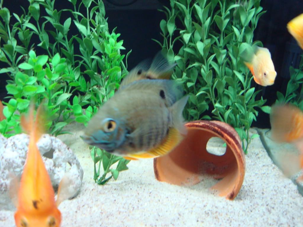 DSC07852.jpg