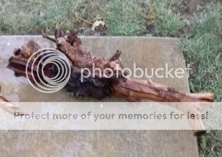 DSCN3124.jpg
