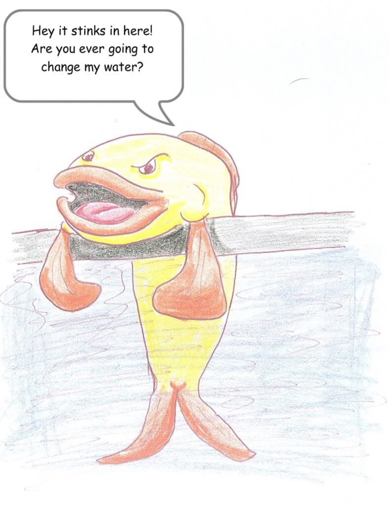 fishy1.jpg