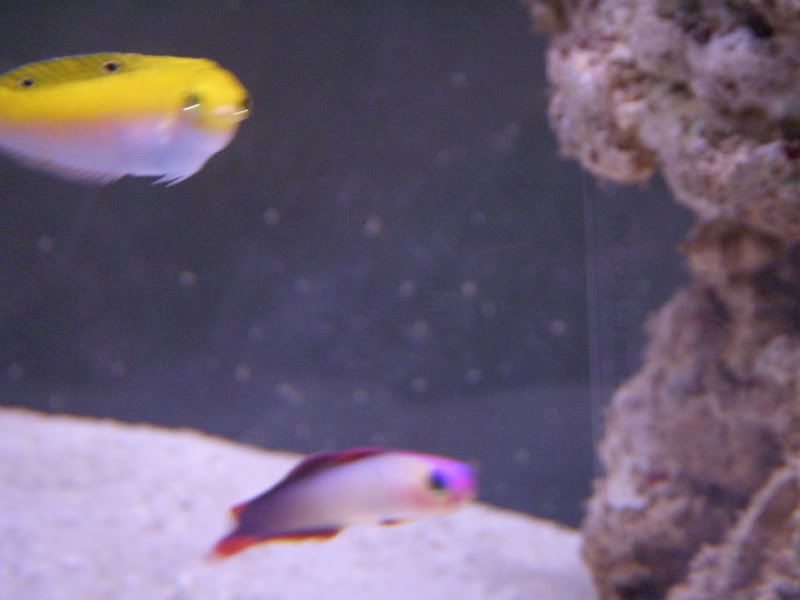 DSCN1656.jpg