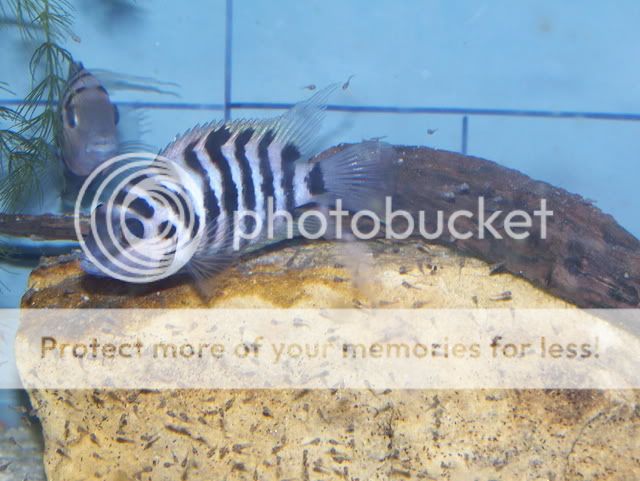 100_6375.jpg