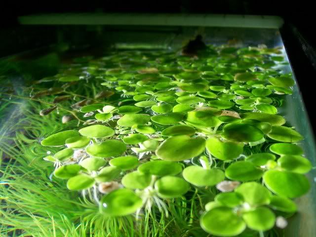 100_3254.jpg
