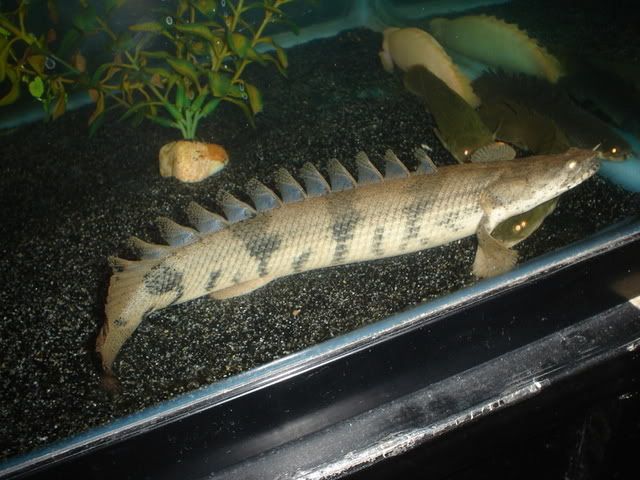 DSC07925.jpg