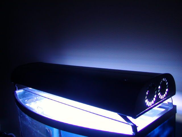 P1010011-13.jpg