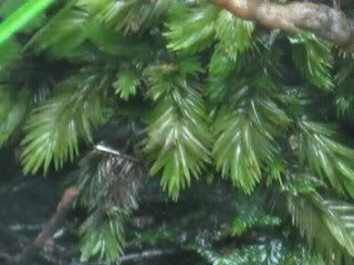 Picture006_320x240.jpg