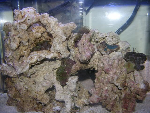 009-1.jpg