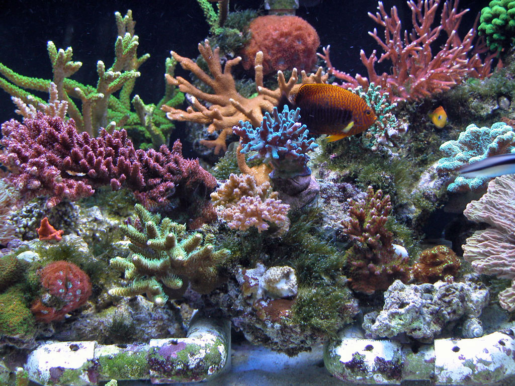4126391167_847a2cb49b_o.jpg