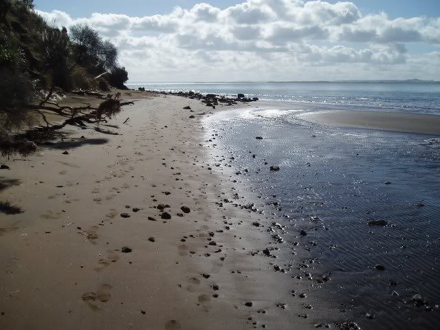P5280449_640x480.jpg