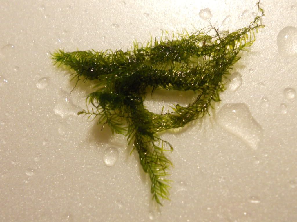 DSCN6124.jpg
