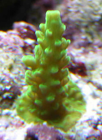 3186114362_3d4c39d900_o.jpg