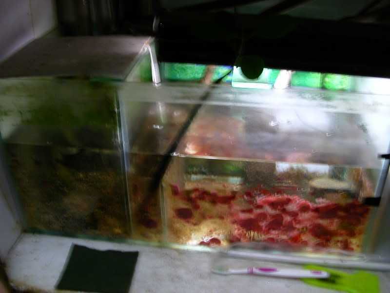Sump.jpg