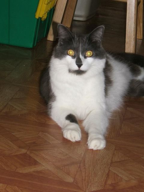 DSCF3908.jpg