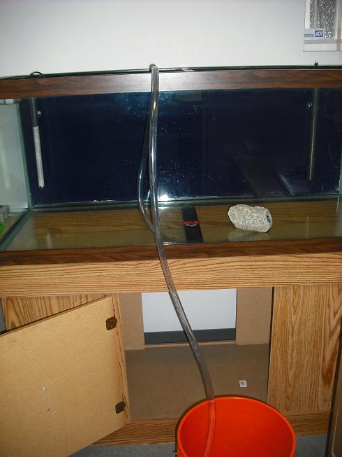 tank%20pics%205007.JPG