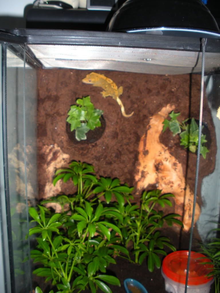DSCN3774.jpg